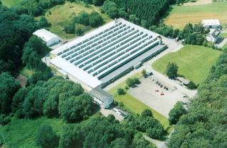 Gewerbeimmobilie kaufen in Kreisstraße, 56237 Sessenbach, Raum für Erfolg!