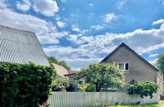 Haus kaufen in Golßener Straße 29, 15938 Kasel-Golzig, Ein- oder Zweifamilienhaus mit viel Nebengelass und zahlreichen Nutzungsmöglichkeiten