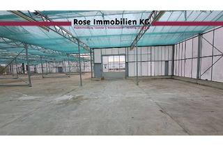 Gewerbeimmobilie mieten in 32369 Rahden, ROSE IMMOBILIEN KG: Kaltlager, Gewächshaus in Rahden zu vermieten!
