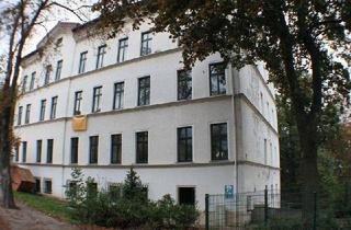 Immobilie mieten in Friedenstraße, 06114 Giebichenstein, 1-2-Raum-Wohnungen Friedenstraße