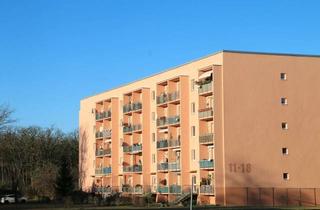 Wohnung mieten in Waldesruh 17, 15806 Zossen, Waldesruh - frisch sanierte 3 Zimmer mit Balkon