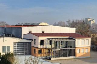 Gewerbeimmobilie kaufen in 84069 Schierling, Gewerbeanwesen mit Hallen, Büro, Freiflächen & Wohnhaus