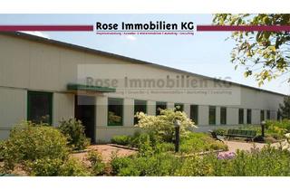 Büro zu mieten in Borsigstr. 11, 32369 Rahden, ROSE IMMOBILIEN KG: Produzieren - Lagern - Kommissionieren - Verteilen in Rahden!
