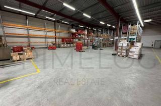 Gewerbeimmobilie mieten in 64521 Groß-Gerau, ** ca. 3.300 m² Platz für Produktion / Lagerung zu vermieten | Ab 2026 **