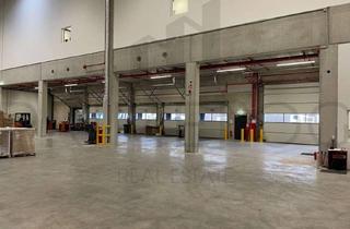 Gewerbeimmobilie mieten in 63486 Bruchköbel, ** 10,50m UKB | 6x Rampe, 1x ebenerdig | ca. 4.000 m² Lagerfläche **