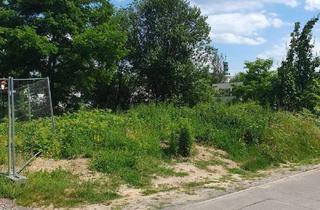 Grundstück zu kaufen in Windmühlenweg, 04463 Großpösna, Grundstück für Ihr Einfamilienhaus - 5 Minuten bis zum Markleeberger See