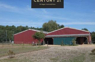 Haus kaufen in 29491 Prezelle, Pferdefreunde aufgepasst - neuwertiges Haus, Stall und Halle im schönen Wendland
