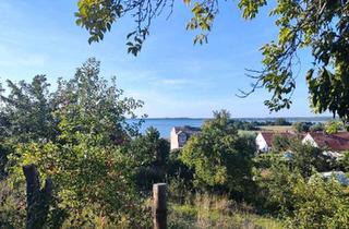 Haus kaufen in 16247 Joachimsthal, Joachimsthal - Grundstück mit Seeblick