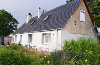 Einfamilienhaus kaufen in 39615 Pollitz, Pollitz - Pollitz, EFH + Nebenge.