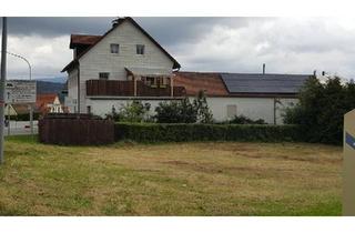 Mehrfamilienhaus kaufen in 94518 Spiegelau, Spiegelau - Mehrfamilienhaus in Spiegelau im Bayrischen Wald zu verkaufen
