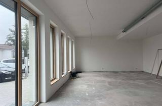 Gewerbeimmobilie kaufen in Brandhof 17 und 19, 79227 Schallstadt, Gewerbeflächen in den „Klimahäusern“