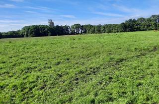 Immobilie kaufen in 22952 Lütjensee, Vielseitig nutzbarer Resthof bei Lütjensee zu Verkaufen, Bauernhaus mit Stallungen auf 9 ha Landflä