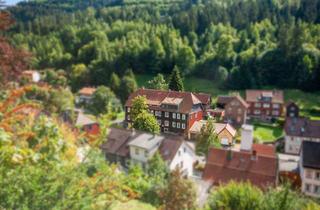 Haus kaufen in 38685 Langelsheim, 7 Wohneinheiten plus Hinterhaus – Ihre Kapitalanlage mit Zukunft