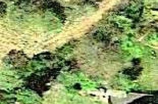 Grundstück zu kaufen in 57548 Kirchen, **Sonniges Baugrundstück in bester Lage**