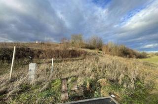 Grundstück zu kaufen in 71711 Steinheim, Bauplatz in Randlage