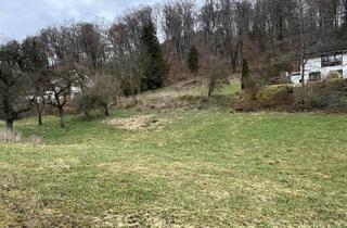 Grundstück zu kaufen in 79780 Stühlingen, Attraktives Baugrundstück in ruhiger Ortsrandlage von Weizen sucht Bauherrn!