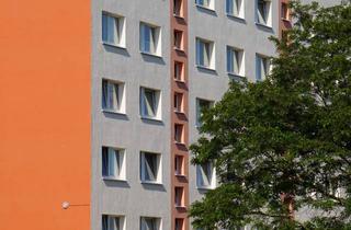 Wohnung mieten in Weingartener Str. 5-23, 04668 Grimma, Frisch sanierte Wohnung im Weingarten. 2-Zimmer (48qm)