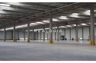 Gewerbeimmobilie mieten in 31319 Sehnde, Sehnde, ca. 24.792 m² Logistkfläche zu vermieten