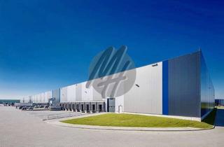 Büro zu mieten in 36251 Bad Hersfeld, KEINE PROVISION ✓ SCHNELL VERFÜGBAR ✓ Lager-/Logistik (9.500 m²) & Büro (500 m²)