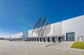 Büro zu mieten in 36275 Kirchheim, KEINE PROVISION ✓ SCHNELL VERFÜGBAR ✓ Lager-/Logistik (9.500 m²) & Büro (500 m²)