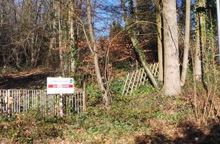 Grundstück zu kaufen in 67705 Trippstadt, Träume verwirklichen! Ruhig gelegenes Baugrundstück in Top Lage von Trippstadt