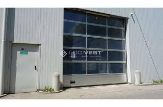 Gewerbeimmobilie mieten in 93413 Cham, multifuktionale Lager- und Logistikflächen in Cham