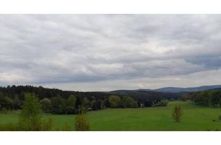 Wohnung kaufen in 09619 Sayda, Traumhafter Ausblick Erzgebirge