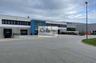 Büro zu mieten in 64572 Büttelborn, Im Alleinauftrag - 3.000 m² Lager- und Büroflächen | kurzfristig verfügbar | honorarfrei