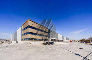 Büro zu mieten in 63329 Egelsbach, KEINE PROVISION ✓ RAMPE + EBEN ✓ Lager (4.000 m²) & Büro-/Sozial (500 m²) zu vermieten