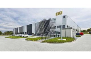 Büro zu mieten in 63329 Egelsbach, SCHNELL VERFÜGBAR ✓ RAMPE + EBEN ✓ Lager (2.500 m²) & Büro-/Sozial (500 m²) zu vermieten