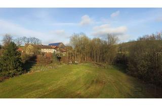 Grundstück zu kaufen in Wiesenstraße, 95500 Heinersreuth, Sonniges Baugrundstück, umgeben von Natur mit riesen Grünfläche in Unterwaiz-Heinersreuth!