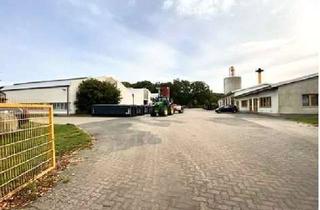 Gewerbeimmobilie kaufen in 17209 Melz, Lager-/Produktionshallen mit Sozial- und Verwaltungsgebäude mit Optionen gegen Gebot!