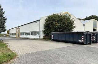 Gewerbeimmobilie kaufen in 17209 Melz, Lager-/Produktionshallen mit Sozial- und Verwaltungsgebäude mit Optionen gegen Gebot!
