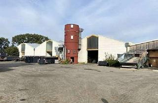 Gewerbeimmobilie kaufen in 17209 Melz, Lager-/Produktionshallen mit Sozial- und Verwaltungsgebäude mit Optionen gegen Gebot!