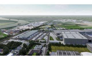 Büro zu mieten in 64579 Gernsheim, Neubau: Lager-/Logistikflächen inkl. Büroflächen