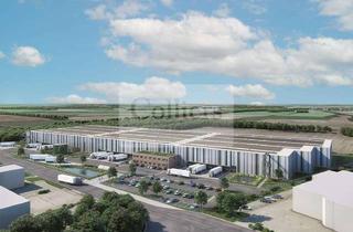 Gewerbeimmobilie mieten in 27404 Zeven, Logistikneubau an der A1