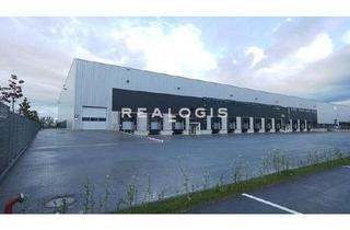 Gewerbeimmobilie mieten in 65520 Bad Camberg, Lager, Logistik - Anbindung an die A3