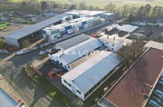 Büro zu mieten in 65239 Hochheim, Lager, Produktion mit Büro - im Alleinauftrag