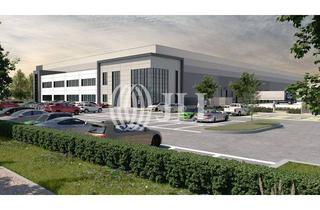 Gewerbeimmobilie mieten in 76870 Kandel, *JLL* 45.000 m² Neubau-Logistikimmobilie mit Autobahnanbindung - Verfügbar ab 2026