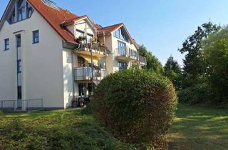 Wohnung kaufen in 04821 Brandis, Brandis: Wohnen im grünen Herzen der Stadt