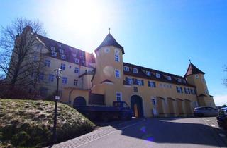 Wohnung kaufen in 88453 Erolzheim, INDIVIDUELLES WOHNEN IM SCHLOSS