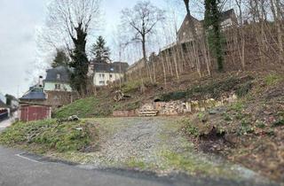 Grundstück zu kaufen in Am Mühlgraben 16, 09350 Lichtenstein, provisionsfreies innerstädtisches Baugrundstück mit 2364m² für Einfamilien- oder Doppelhaus und Waldanteil