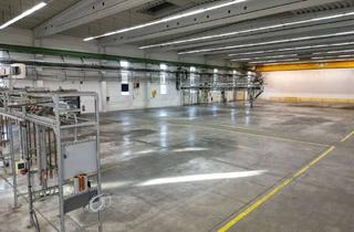 Gewerbeimmobilie mieten in 04626 Schmölln, Miete: Teilflächen ab 1.000 m² ,neuwertige Produktionshallen mit 20t Kranbahnen an der A4!