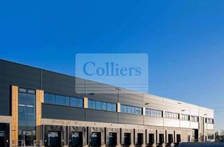 Gewerbeimmobilie mieten in 21629 Neu Wulmstorf, Neubau Logistikhalle im Süden Hamburgs