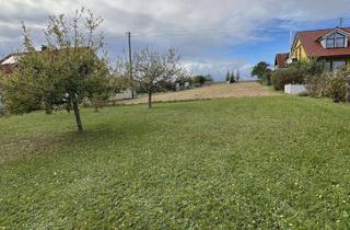 Grundstück zu kaufen in Nassiger Straße 26, 97877 Wertheim, Attraktives Baugrundstück für Mehrfamilienhäuser in Wertheim