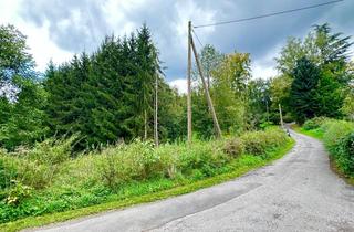 Grundstück zu kaufen in Wilhelmsteich, 66564 Ottweiler, Baugrundstück in ruhiger Waldrandlage von Ottweiler