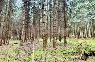 Gewerbeimmobilie kaufen in 88436 Eberhardzell, Fichtenwald bei Füramoos! Ihre Chance auf einen eigenen Wald!