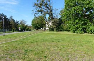 Haus kaufen in 17358 Torgelow, Traumgrundstück für Ihr Neubauvorhaben in Torgelow