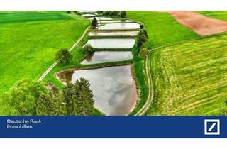 Grundstück zu kaufen in 92272 Freudenberg, Traumhaftes Grundstück mit 4 Fischteichen