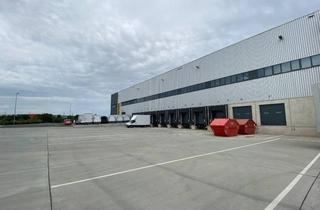 Büro zu mieten in Alexander-Meißner-Straße 77, 12526 Berlin, Exklusive Lagerhallen/Kühllager in Berlin Schönefeld